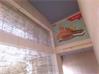 Hyderabad Shop-Mulgi for Rent